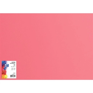 Brystol karton OXFORD B1 70x100cm 225g. - różowy nr.22-302923