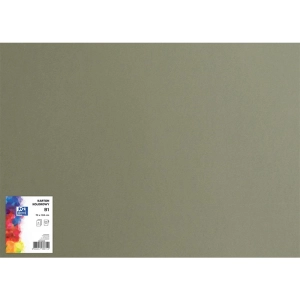 Brystol karton OXFORD B1 70x100cm 225g. - szary ciemny nr.98-302926