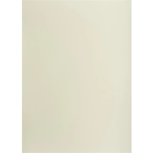 Brystol karton OXFORD B1 70x100cm 225g. - szary jany nr.93-302930