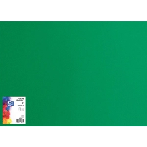 Brystol karton OXFORD B1 70x100cm 225g. - zielony ciemny nr.63-302935