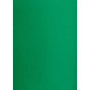 Brystol karton OXFORD B1 70x100cm 225g. - zielony ciemny nr.63-302936