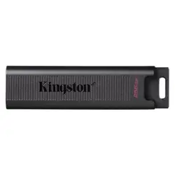 MEMORY DRIVE FLASH USB3.2/256GB DTMAX/256GB KINGSTON-1