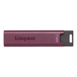 MEMORY DRIVE FLASH USB3.2/256GB DTMAXA/256GB KINGSTON-1