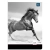 Zeszyt INTERDRUK A5 96k. - linia-103450