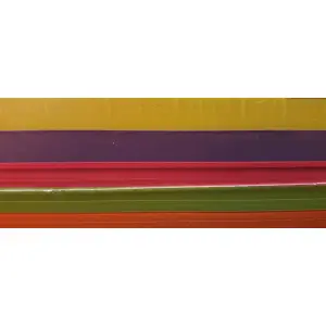 Papier xero kolor PASTELLO A4 80g mix NEON op.500-134656