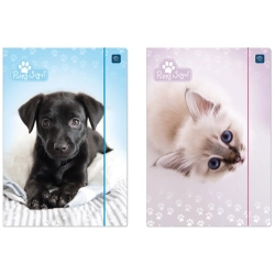 Teczka z gumką INTERDRUK A4  LUX UV PUPPY SIGN 5406-454632