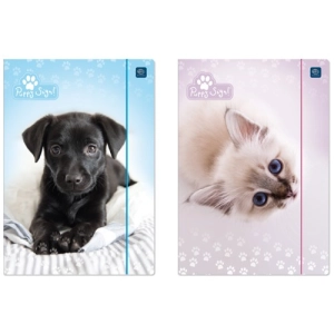 Teczka z gumką INTERDRUK A4  LUX UV PUPPY SIGN 5406-454632