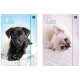Teczka z gumką INTERDRUK A4  LUX UV PUPPY SIGN 5406-454632
