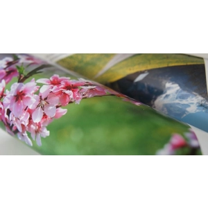 Papier do plotera SMART Foto semi matt 914mm x 30m 255g.-168166