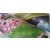 Papier do plotera SMART Foto glossy 610mm x 30m 255g.-168162