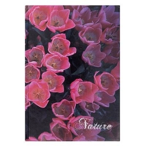 Zeszyt brulion OFFICE PRODUCTS Nature A5 96 kartek - linnia-179636