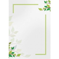 Dyplom GP A4 op.25 170g. - green-643104