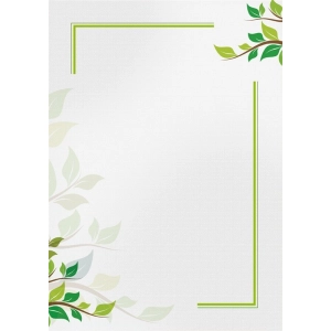 Dyplom GP A4 op.25 170g. - green-643104