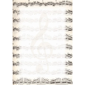 Dyplom GP A4 op.25 170g. - nuty -643132