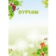 Dyplom GP A4 op.25 170g. - bajka -643065
