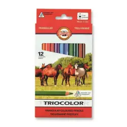 Kredki KOH-I-NOOR Triocolor 12 kolorów 3142-187059