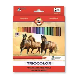 Kredki KOH-I-NOOR Triocolor 36 kolorów 3145-187061