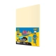 Papier xero kolor PASTELLO A4 80g. PASTELOWY op.100 - ecru IT100