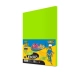 Papier xero kolor PASTELLO A4 75g. NEON op.100 - zielony IT321