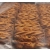 Ciastka ESTA domowe Pieguski 2.5kg.-212043