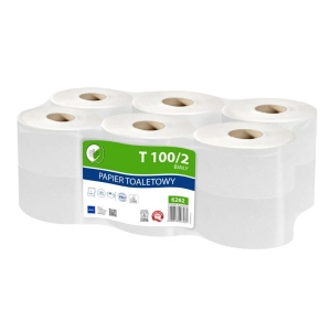 Papier toaletowy ELLIS Ecoline 100m 2-warstwy makulatura op.12 6262