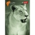Brulion UNIPAP B5 160k. # okł. półtwarda-23512
