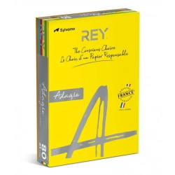 Papier xero A4 kolor REY ADAGIO 500ark. 80g. - mix kolorów - intensywny