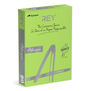 Papier xero A4 kolor REY ADAGIO 500ark. 80g. - zielony ( 16 )
