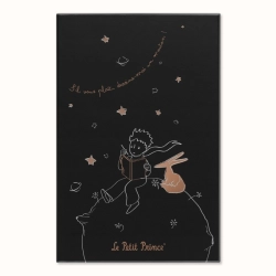 Notes MOLESKINE Pro Mały Książę, L, w linie, edycja limitowana, w pudełku