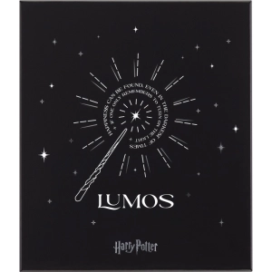Zestaw MOLESKINE Harry Potter 2024, edycja limitowana