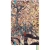 Notatnik MOLESKINE Rok Smoka 2024, L, w linie, edycja limitowana-248405