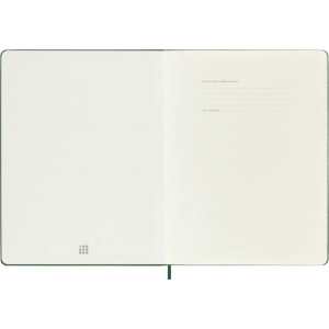 Notes MOLESKINE Classic XL (19x25cm) w kratkę, twarda oprawa, myrtle green, 192 strony, zielony-249164