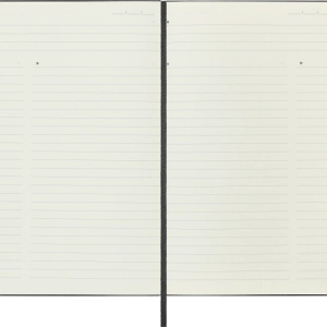 Notes MOLESKINE PROFESSIONAL L (13x21 cm), twarda oprawa, 240 stron, czarny-249186