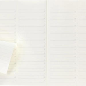 Notes MOLESKINE PROFESSIONAL A4 (21x29,7 cm), miękka oprawa, 192 strony, czarny-249878
