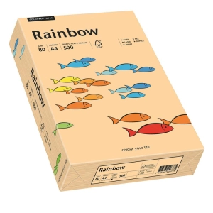Papier xero A4 kolor RAINBOW past. - łosoś 40