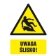 Tabliczka znak TDC Uwaga ślisko