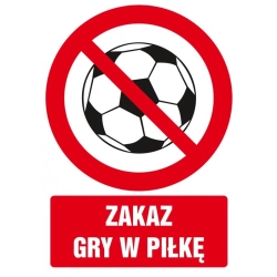 Tabliczka znak TDC Zakaz gry w piłkę