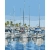 Malowanie po numerach BRUSHME 40x50 cm jachty 1 szt.-267958