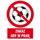 Tabliczka znak TDC Zakaz gry w piłkę