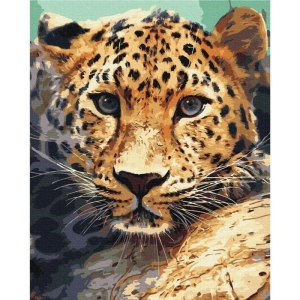 Malowanie po numerach BRUSHME 40x50 cm portret lamparta 1 szt.-268362