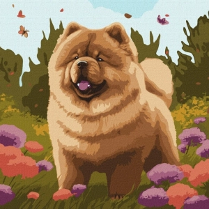 Malowanie po numerach IDEYKA 40x40 cm uroczy chow chow 1 szt.