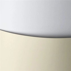 Papier ozdobny karton GALERIA PAPIERU A4 250g. op.20 - gładki biały