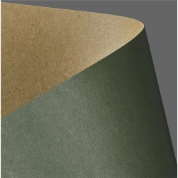 Papier ozdobny karton GALERIA PAPIERU A4 275g. op.20 - kraft zielony