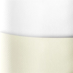 Papier ozdobny karton GALERIA PAPIERU A4 200g. op.20 - sawanna biały