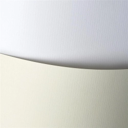 Papier ozdobny GALERIA PAPIERU A4 120g. op.50 - laid biały