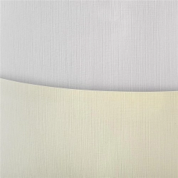 Papier ozdobny karton GALERIA PAPIERU A3 250g. op.50 - płótno białe