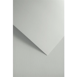 Papier ozdobny GALERIA PAPIERU A4 120g. op.50 - natte biały