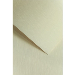 Papier ozdobny karton GALERIA PAPIERU A4 180g. op.20 - batyst kremowy