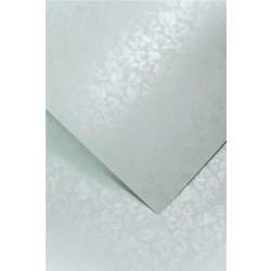 Papier ozdobny karton GALERIA PAPIERU A4 250g. op.20 - liście szary