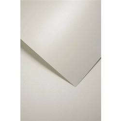 Papier ozdobny karton GALERIA PAPIERU A4 270g. op.20 - millenium biały